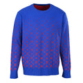 Louis Vuitton Trendy Sweatshirt